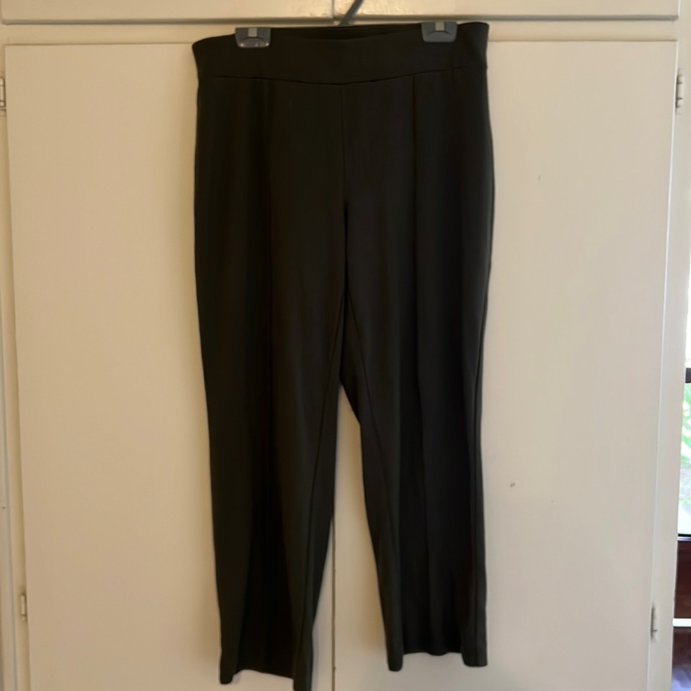 Jones NY Dark Olive Green Plus Size Pants